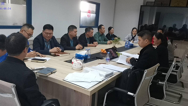 溫州 專精特新 典型發言