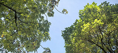 南京專精特新申報(bào)